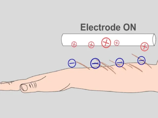 ElectroCaresses: Contactless Apparent Motion with Electrostatic Piloerection