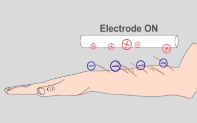 ElectroCaresses: Contactless Apparent Motion with Electrostatic Piloerection